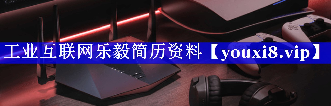 工业互联网乐毅简历资料