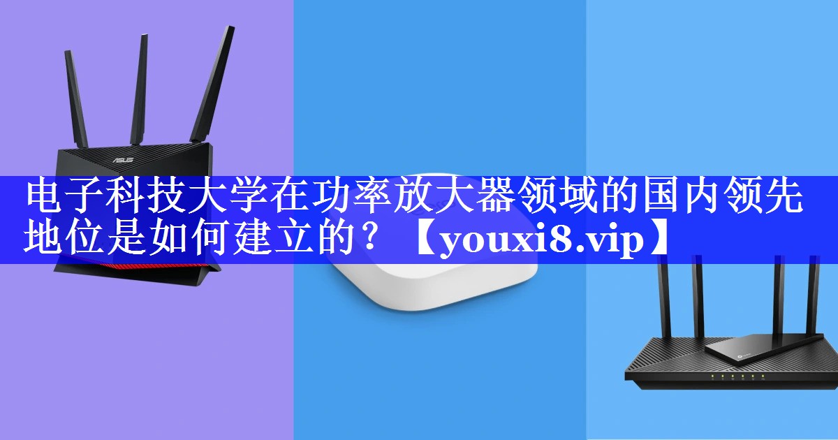 电子科技大学在功率放大器领域的国内领先地位是如何建立的？