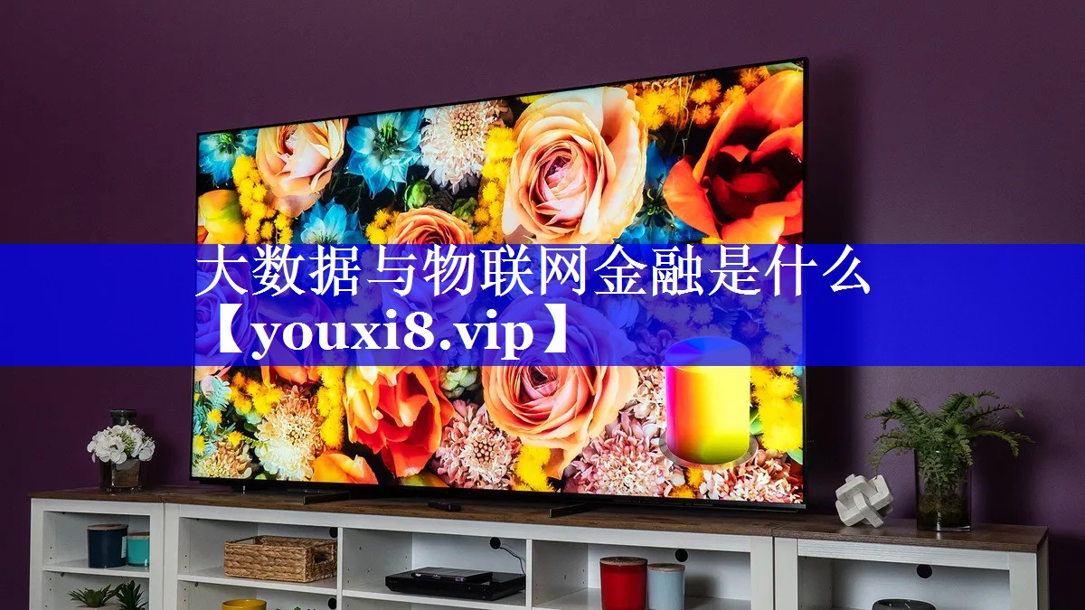 大数据与物联网金融是什么