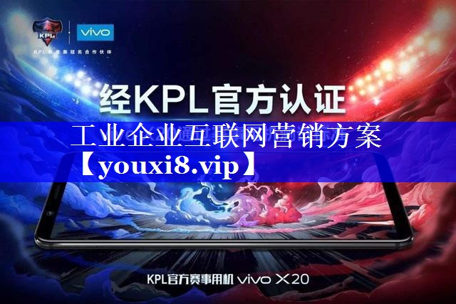 工业企业互联网营销方案
