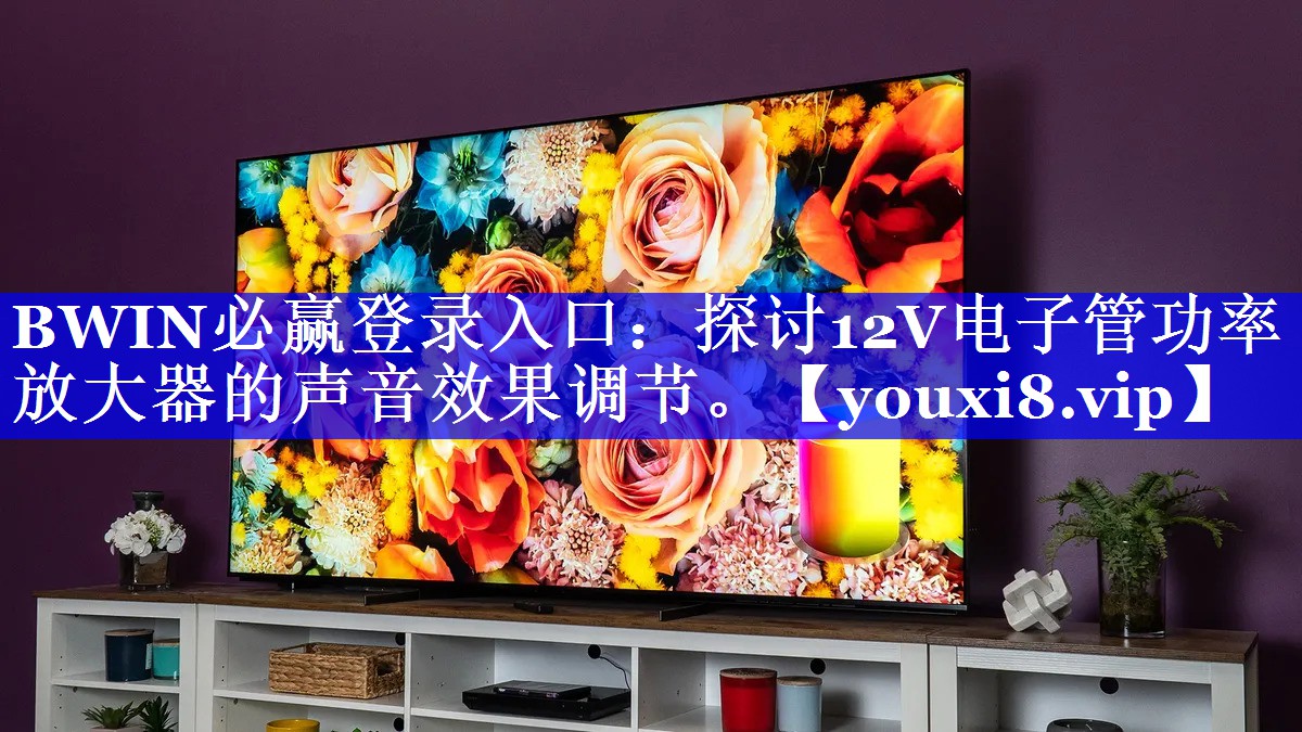 BWIN必赢登录入口:探讨12V电子管功率放大器的声音效果调节。 BWIN必赢登录入口:探讨12V电子管功率放大器的声音效果调节。