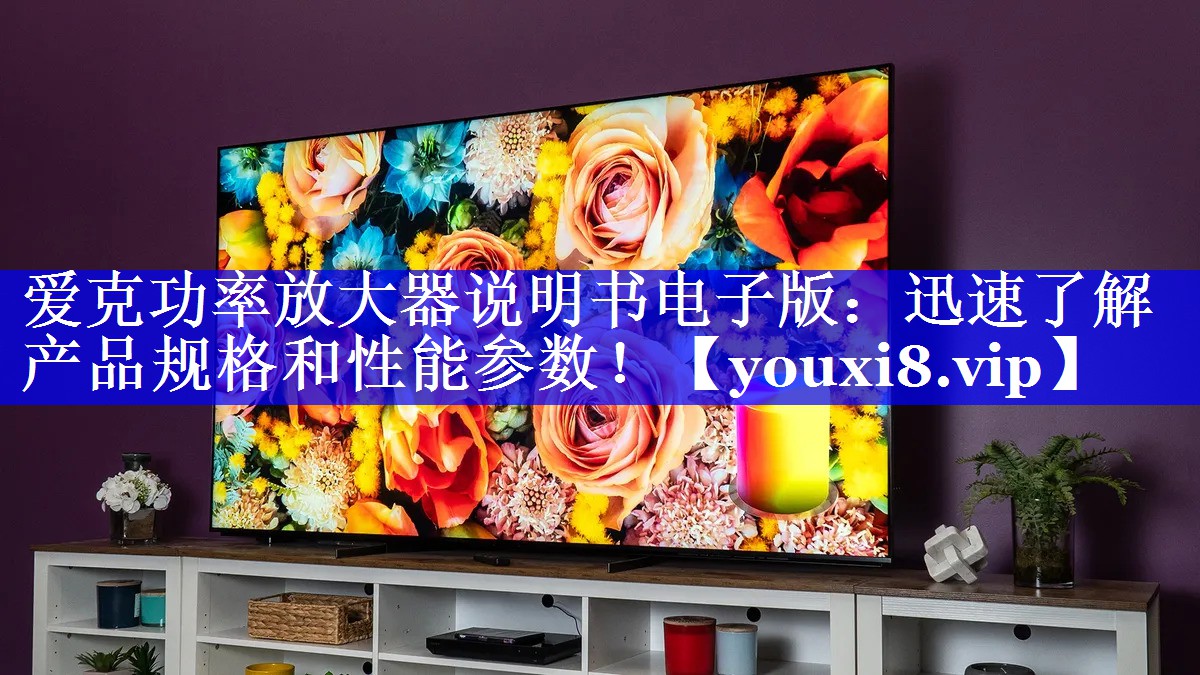 爱克功率放大器说明书电子版：迅速了解产品规格和性能参数！