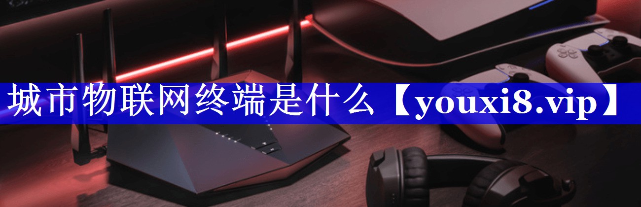 城市物联网终端是什么