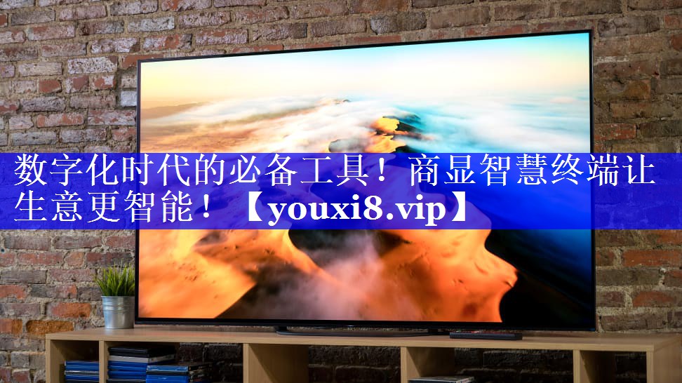 数字化时代的必备工具！商显智慧终端让生意更智能！