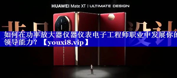 如何在功率放大器仪器仪表电子工程师职业中发展你的领导能力？