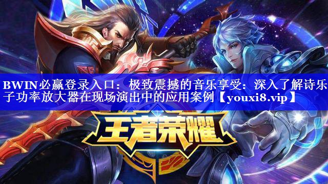 BWIN必赢登录入口：极致震撼的音乐享受：深入了解诗乐电子功率放大器在现场演出中的应用案例