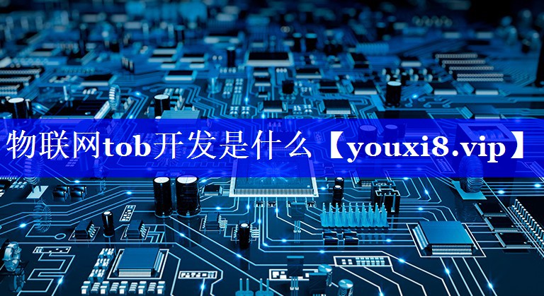物联网tob开发是什么