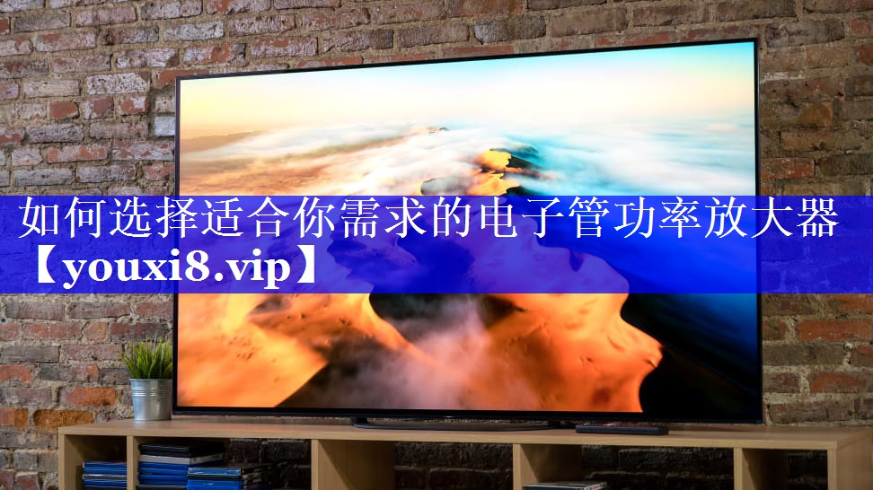 如何选择适合你需求的电子管功率放大器