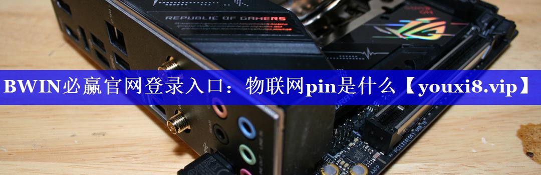 BWIN必赢官网登录入口：物联网pin是什么