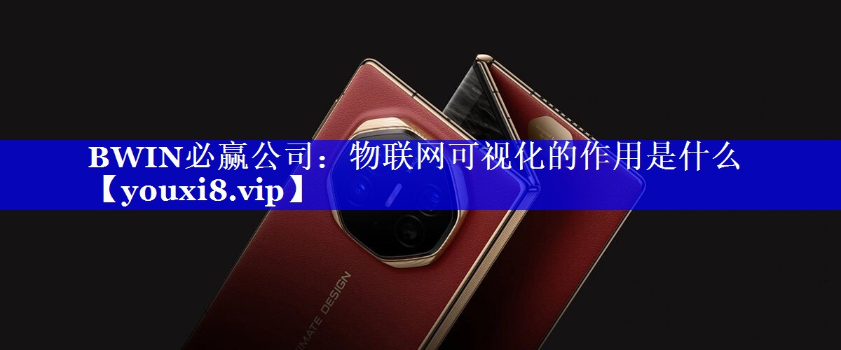 BWIN必赢公司：物联网可视化的作用是什么