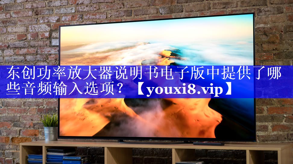 东创功率放大器说明书电子版中提供了哪些音频输入选项? 东创功率放大器说明书电子版中提供了哪些音频输入选项?