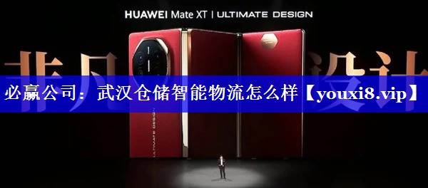 必赢公司:武汉仓储智能物流怎么样 必赢公司:武汉仓储智能物流怎么样