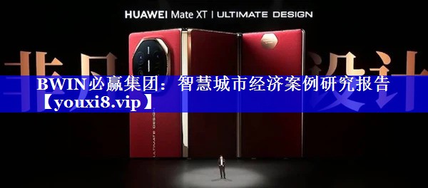 智慧城市经济案例研究报告