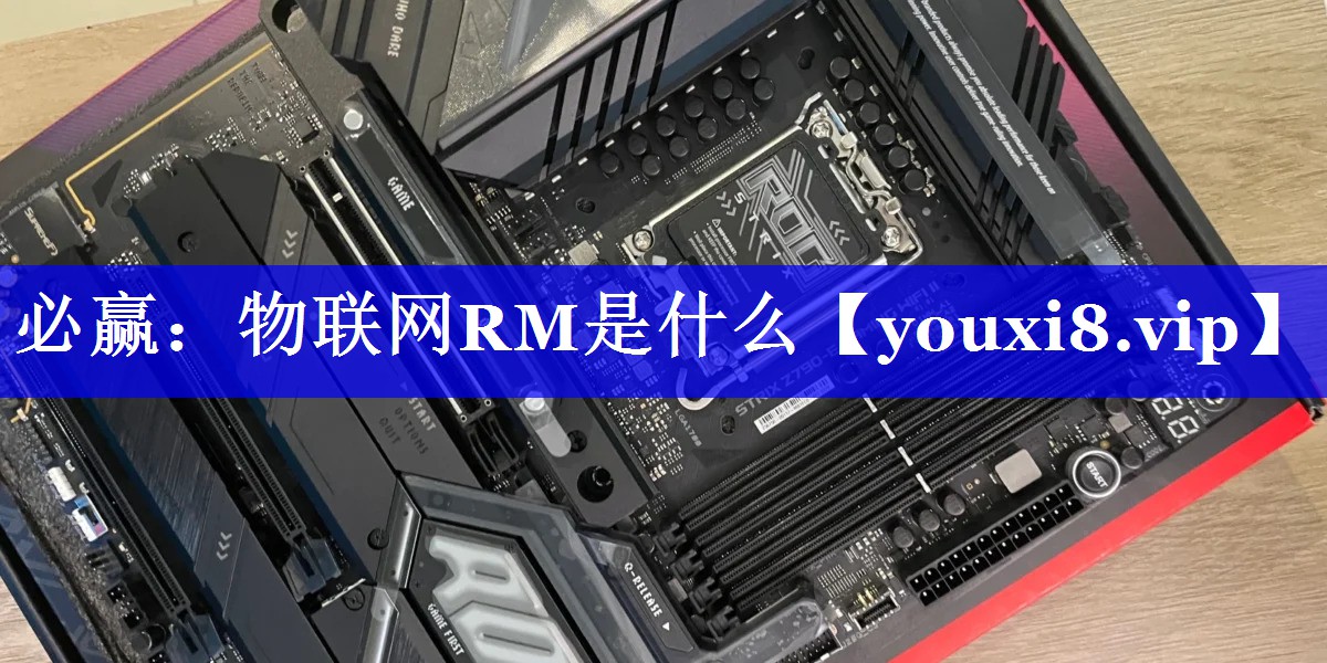物联网RM是什么