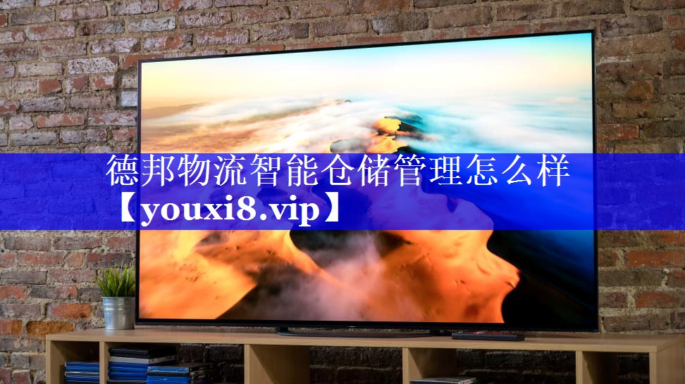 德邦物流智能仓储管理怎么样
