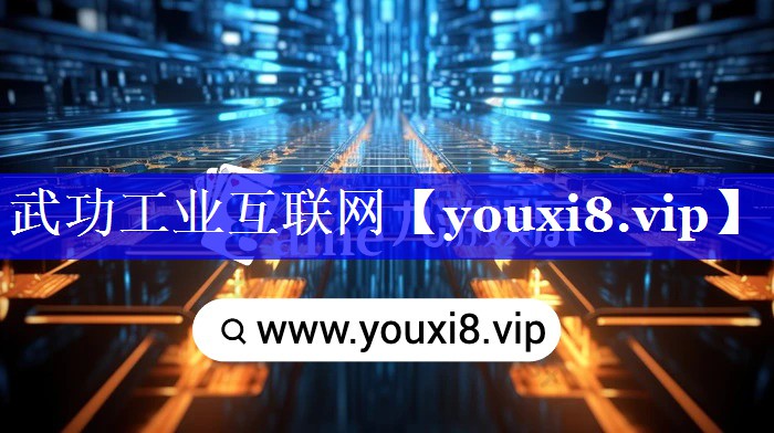 武功工业互联网