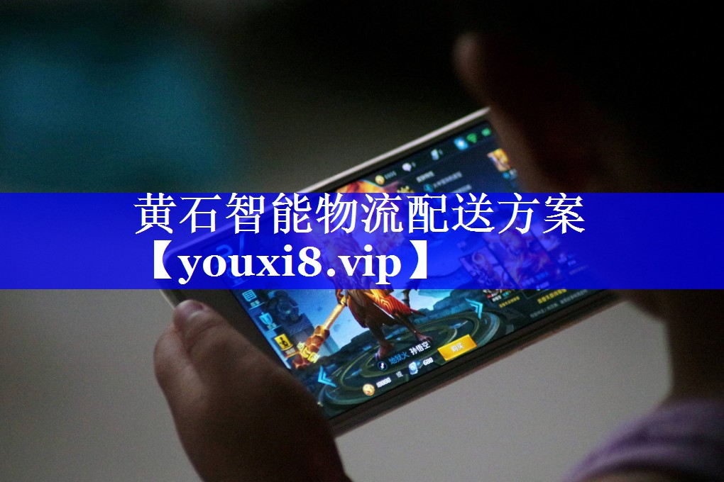 黄石智能物流配送方案