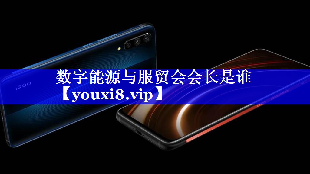 数字能源与服贸会会长是谁