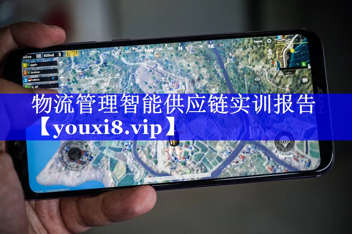 物流管理智能供应链实训报告