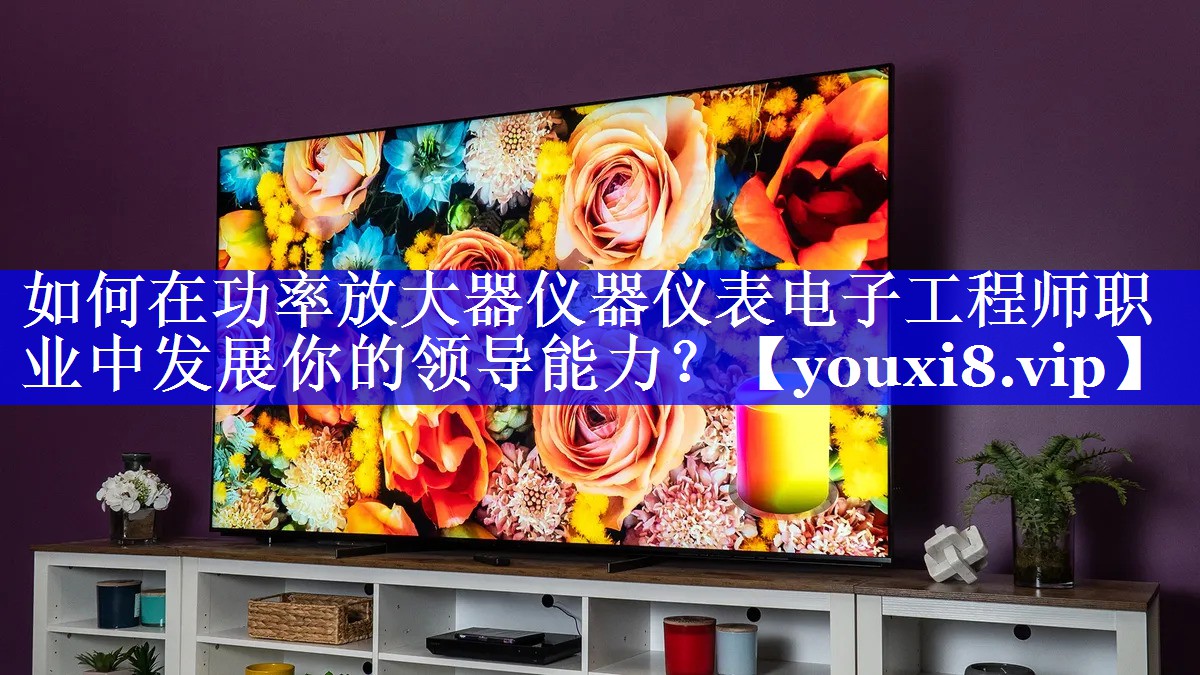 如何在功率放大器仪器仪表电子工程师职业中发展你的领导能力？
