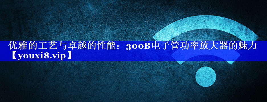 优雅的工艺与卓越的性能：300B电子管功率放大器的魅力