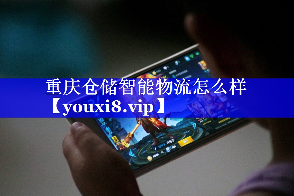 重庆仓储智能物流怎么样