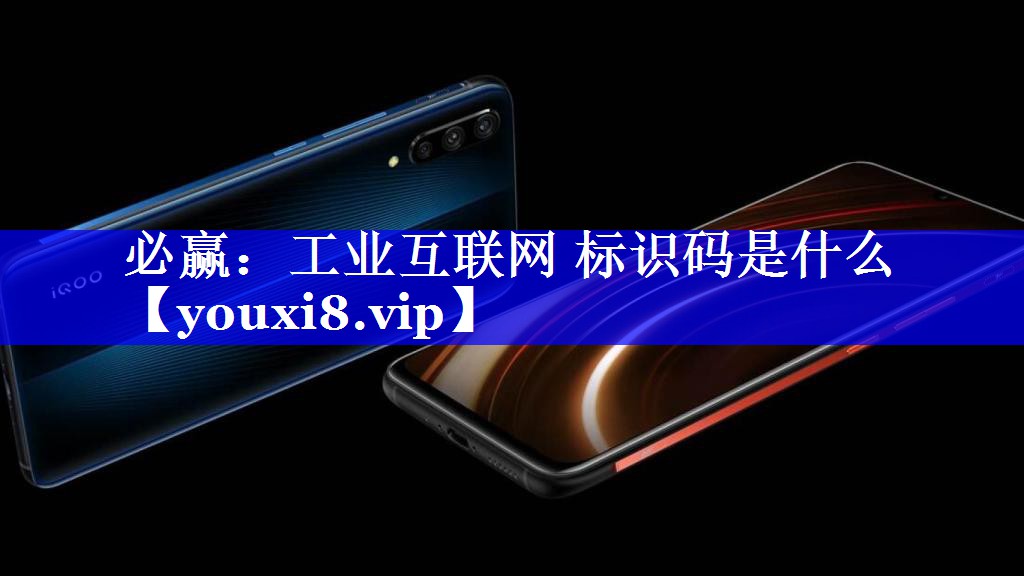 工业互联网 标识码是什么