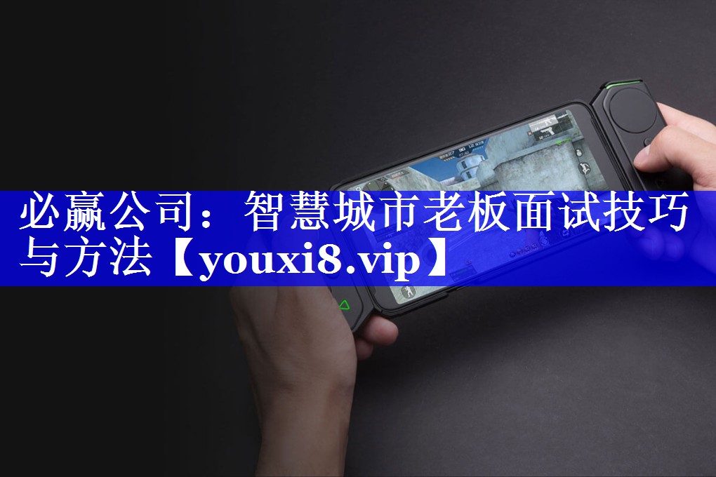 智慧城市老板面试技巧与方法 智慧城市老板面试技巧与方法